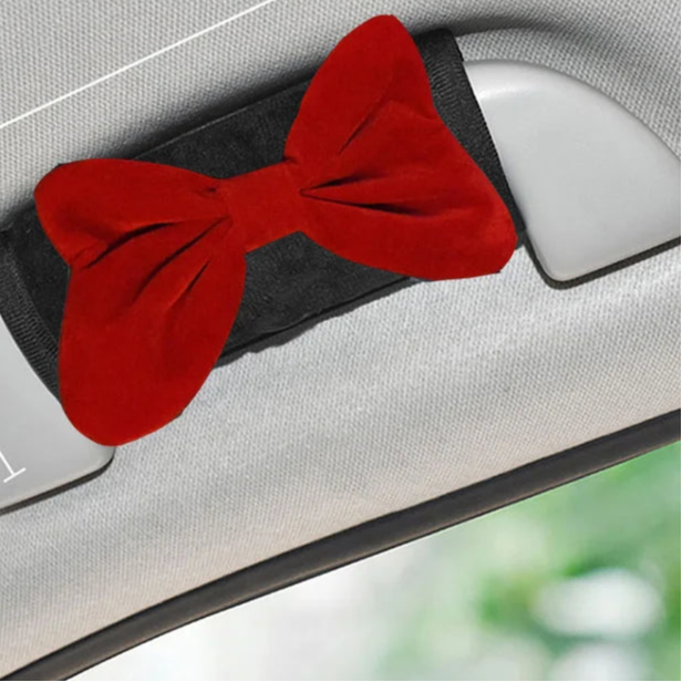 Car Accessories for Women